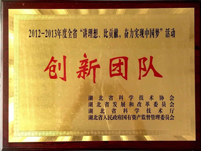 湖北省2012-2013年度“講理想，比貢獻(xiàn)”創(chuàng)新團(tuán)隊(duì).jpg